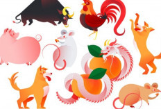 Shio Hoki September 2026, 7 Shio Ini Diprediksi Punya Peluang Besar di Usaha dan Pekerjaan