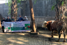 PT Brawijaya Multi Usaha Gelontorkan Hewan Kurban, Bahagiakan Warga Sekitar Perusahaan