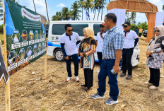 Wabup Lathifah: Petani Purwosekar Bisa Raup Rp9 Juta Bersih dari Jagung Sekali Panen