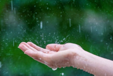 Cuaca Malang Raya 12 Februari 2026: 41 Kecamatan Hujan Ringan, Perairan Malang Selatan Badai dan Hujan Petir 