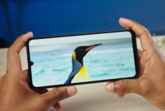 Bingung Pilih HP untuk Ojol? Ini 7 Rekomendasi Smartphone Rp1 Jutaan yang Siap Dipakai Kerja Seharian