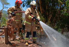 Lahan Kosong di Pesanggrahan Kota Batu Terbakar, Diduga akibat Sampah Dibakar