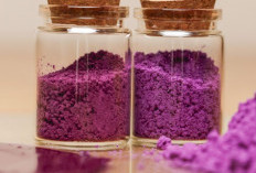 Mengenal Ungu, Warna Mewah yang Dahulu Lebih Berharga dari Emas