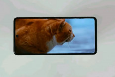 HP 2 Jutaan 2026 Layak Dipertimbangkan, Ada AMOLED 144 Hz dan Baterai 8.000 mAh