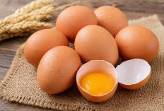 Tips Memilih Telur Sesuai Ciri-Ciri Fisik termasuk Warna Kulitnya