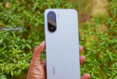 HP Kamera 2 Jutaan, 8 Pilihan Menarik untuk Foto dan Video