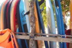 Menantang Ombak Pantai Tanjung Penyu Malang: Surga Tersembunyi Baru bagi para Pecinta Surfing