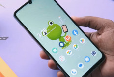 5 HP 1 Jutaan Oktober 2026 dengan Baterai 6.000 mAh, Cocok untuk Seharian