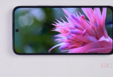 Rekomendasi HP OPPO RAM 8 GB Terbaik 2026, Performa Kencang dengan Harga Masih Terjangkau