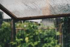 Cuaca Malang Raya 17 Maret Hujan Ringan, 9 Kecamatan di Kabupaten Sejuk Mirip Batu, Jatim Masih Kategori Siaga