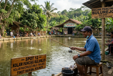 Antusiasme Pemancing Malang Raya: Berburu 'Monster' Air Tawar di Tengah Kesejukan Alam