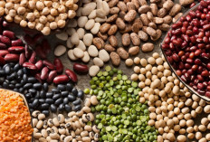 10 Februari Hari Kacang-kacangan Sedunia, 9 Daftar Kacang dan Manfaatnya untuk Tubuh 