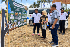 Panen Jagung Purwosekar Malang, Produktivitas Naik 6 Kali Lipat sejak 2021