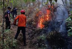 Karhutla Gunung Buthak di Batu Padam, Titik Api Masih Terdeteksi di Kawinajang