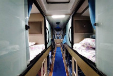 Naik Sleeper Bus Malang–Jakarta Kian Diminati, Perjalanan Semalam Lebih Nyaman dengan Tarif Mulai Rp500 Ribuan