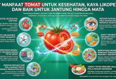 7 Manfaat Tomat untuk Kesehatan, Kaya Likopen dan Baik untuk Jantung hingga Mata