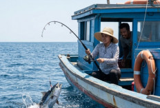 Menaklukan Laut Lepas: Panduan Lengkap Menemukan Spot Ikan, Memilih Alat, dan Menjaga Keselamatan