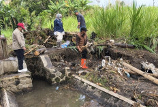 Hujan Deras Picu 7 Titik Banjir dan Longsor di Batu, Wali Kota Turun Tangan