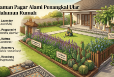 Benteng Hijau Alami: Sulap Halaman Rumah Jadi Indah Bebas Ancaman Ular