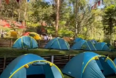 Pesona Wisata Alam Pujon Kian Bersinar, Pondok Koeboed Jadi Hidden Camp Favorit Baru di Kabupaten Malang