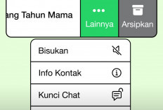 Chat WhatsApp Bisa Dikunci, Ini Cara Aktifkan dan Nonaktifkan Fitur Privasi Terbaru