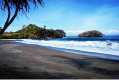 Pantai Bajul Mati, Malang: Surga Tersembunyi dengan Pesona Alam Dan Konservasi Penyu