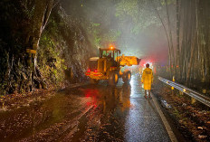 Malam Minggu, Dua Tanah Longsor dan Pohon Tumbang