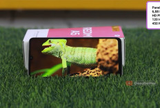 8 HP Redmi Terbaik Harga Rp1-2 Jutaan 2026, Redmi Note 15 4G hingga Redmi A7 Pro Paling Diburu