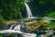Coban Jidor di Jabung, Malang, Oase Alami Menenangkan Jiwa, Ini Tips & Panduan Berkunjungnya