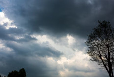 Prakiraan Cuaca Malang Raya 17 Desember: Hujan Siang hingga Sore, Khusus Batu Ada Potensi Petir