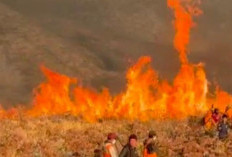 Kebakaran Sabana Penggol, Akses Bromo dari Jemplang Ditutup