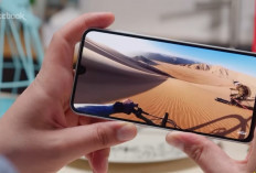 7 HP Samsung Harga Rp2 Jutaan Terbaik Juli 2026, Galaxy A17 5G hingga A05s Masih Layak Dibeli