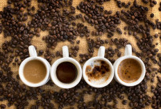 Kenali 9 Varian Minuman Espresso-Based: Biar Nggak Salah Pesan saat Ngopi