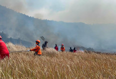 Tiket Bromo Kena Dampak Kebakaran? Refund dan Reschedule Dibuka hingga 31 Agustus