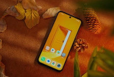Rekomendasi HP 1 Jutaan Terbaik 2026: 7 Pilihan Paling Worth It, Layar Mulus hingga Baterai Jumbo
