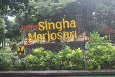 Taman Singha Merjosari Malang, Mahakarya Ruang Publik yang Sukses Sabet Predikat Desain Terbaik Nasional!