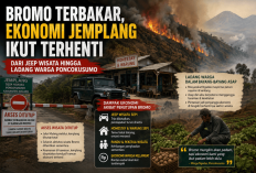 Bromo Terbakar, Ekonomi Jemplang dan Ngadas Ikut Terpukul: Saat Wisata dan Pertanian Berada di Tengah Ancaman