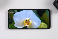 7 HP Samsung RAM 8/256 GB Terbaik 2026, Galaxy A56 5G Jadi Raja Performa