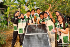 UM Kembangkan IoT untuk Budidaya Jeruk di Merjosari, Petani Kini Pantau Lahan Real Time lewat Ponsel