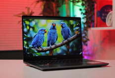 Laptop 4 Jutaan Tak Sekadar Murah, 5 Model Ini Punya Fitur yang Berbeda
