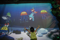 Sketsa Aquarium Jatim Park 3, Wahana Seru Libur Sekolah Anak di Kota Batu