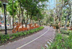 Hutan Kota Bondas Batu Direvitalisasi, DLH Siapkan Anggaran hingga Rp800 Juta