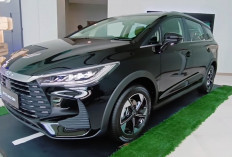 BYD M6 DM Resmi Meluncur, MPV Plug-in Hybrid Rp310 Jutaan dengan Klaim Irit 65 Km per Liter