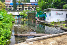 ‎Kolam Umbul Gemulo Jadi Spot Liburan Murah Meriah di Bumiaji