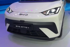 5 Mobil Listrik Termurah 2026 di Bawah Rp300 Juta, BYD Atto 1 hingga Geely EX2 Jadi Buruan