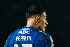 Persib Bandung Perlu Siapkan Skenario Darurat, Tujuh Pemain Bermasalah Jelang ACL 2