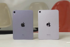 5 Tablet 8 Inci Terbaik 2026, Mulai Rp2 Jutaan hingga iPad Mini 7