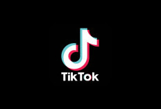 Asal-usul Julukan 'Kandang Monyet' untuk TikTok, Ternyata Berkaitan dengan Fenomena Ini