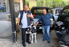 Dusun Brau Dorong Potensi Wisata Edukasi Lewat Paket Wisata Live In 