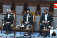 DPR Setujui Destry Damayanti Jadi Gubernur BI 2026-2031, Ini Tantangan Besarnya
